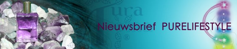 nieuwsbrief purelifestyle header 1 1 768x159