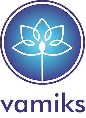 Vamiks logo kleur online