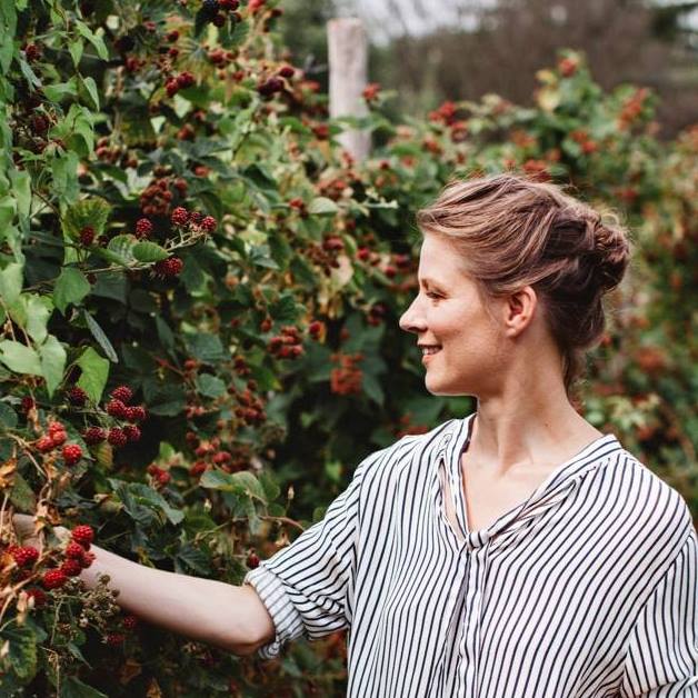 33173092 1717310691687146 5387017225553051648 n