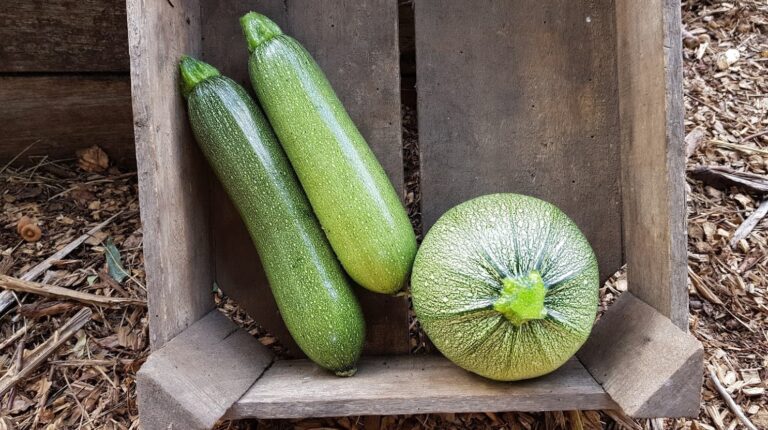 20180704 084743 2 768x430