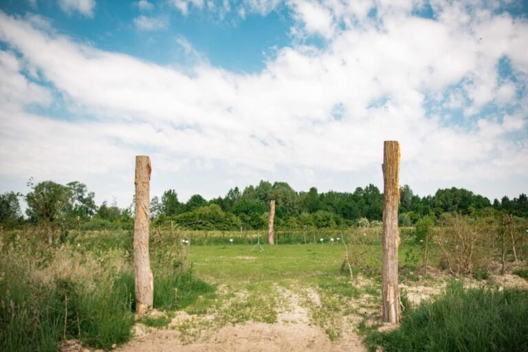 20210610 kasteelhoevewange 125 1024x683 1 768x512