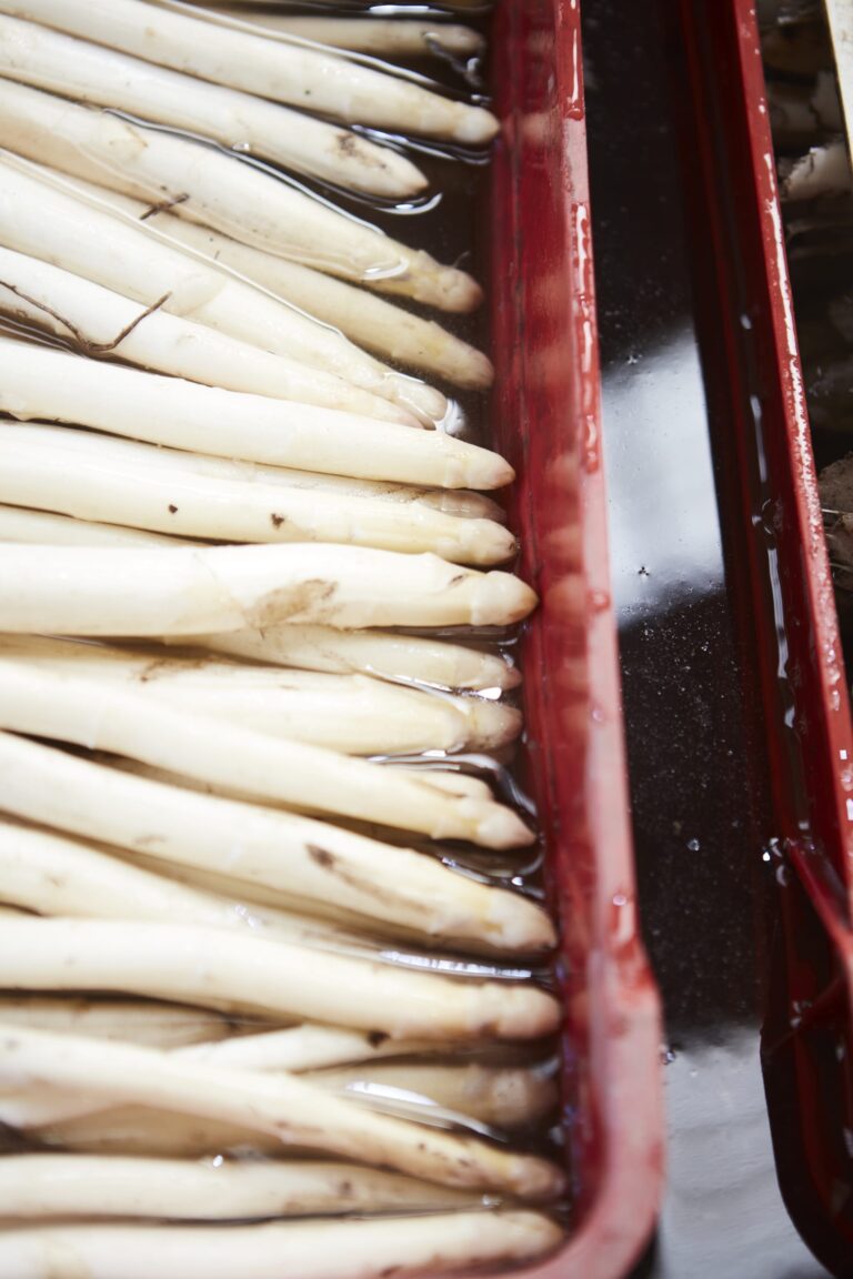 Asperges Spitsbroek 2 768x1152