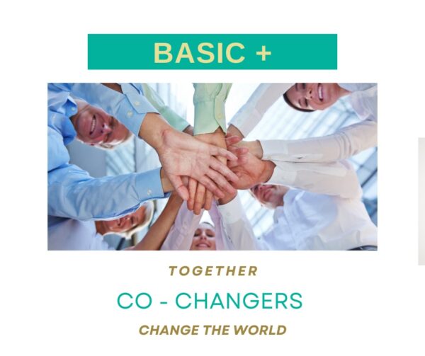 Co-CHANGER 1 Jaar Basic+