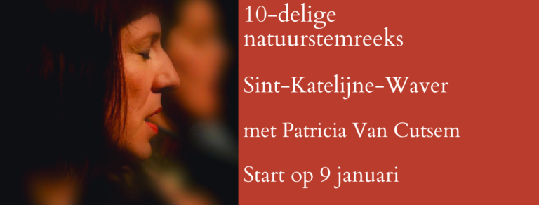 10 delige natuurstem januari 768x292