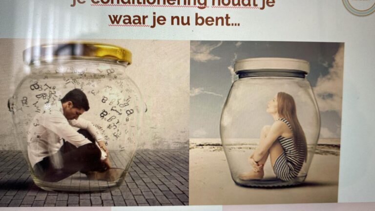 e65ab2ef c174 4bf0 b623 521f4508e5d6 768x432