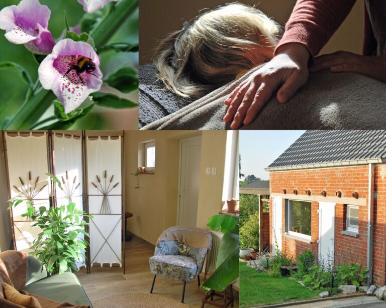 Activate.me  768x614